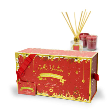 CINNAMON & WINTER BERRIES GIFT SET Tumbler X2 + Reed Diffuser