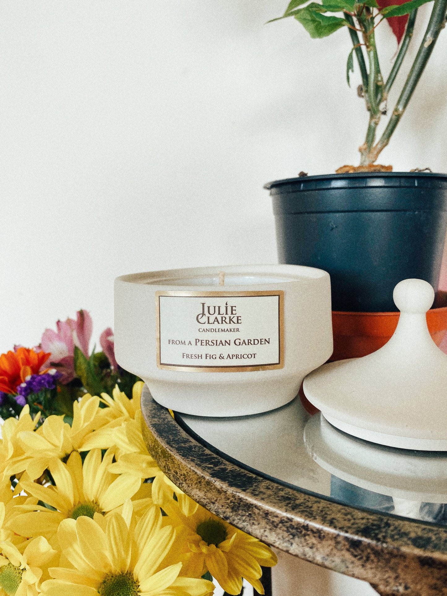 Fresh Fig & Apricot Desert Winds Jar Candle by Julie Clarke