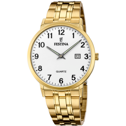 Festina F20513/1 Gold Stainless Steel Men's Watch