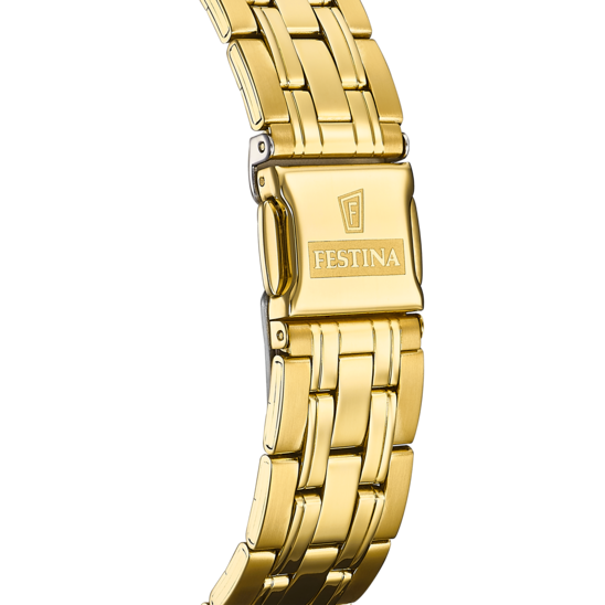 Festina F20513/1 Gold Stainless Steel Men's Watch
